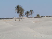 sahara