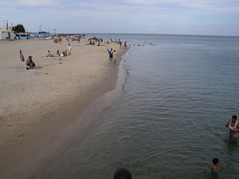 plaz 13.jpg