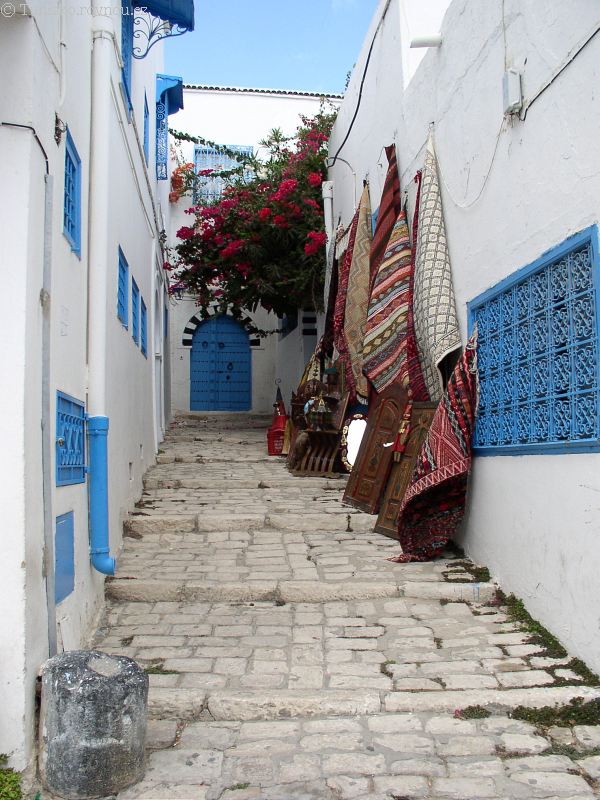 sidi bou said koberce 1.jpg