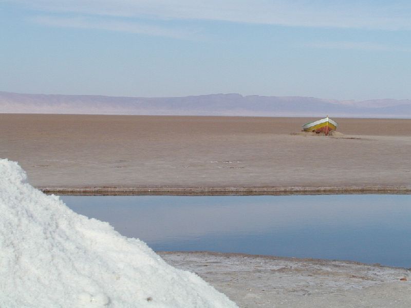 eljerid2.jpg