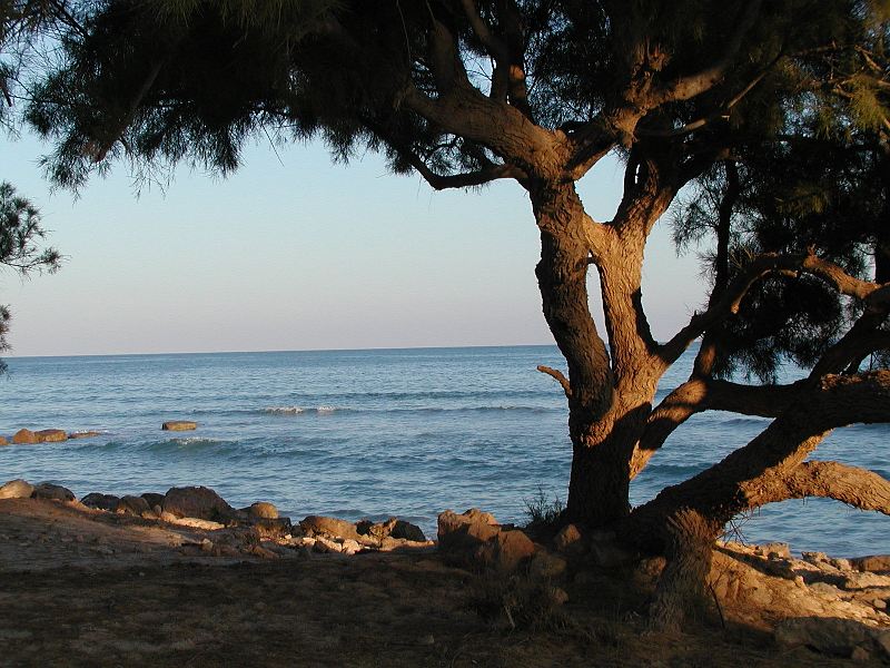 plaz.jpg