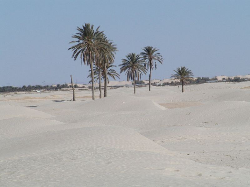 sahara.jpg