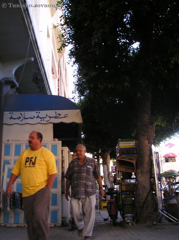 185.jpg