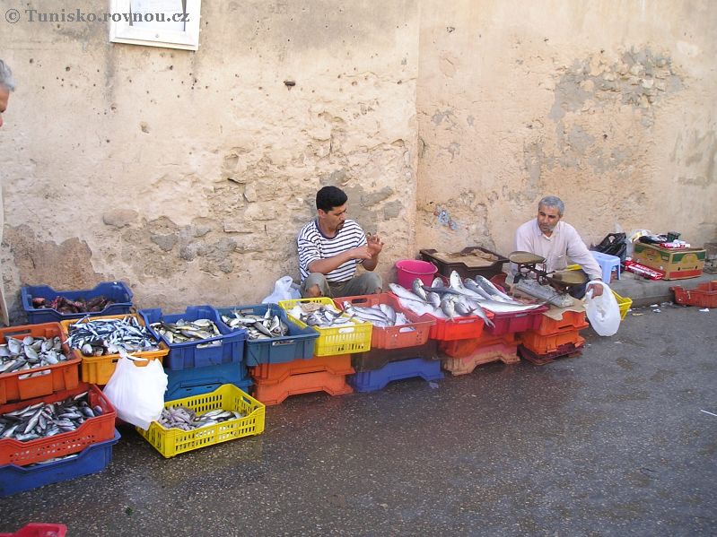 sousse ryby 16.jpg