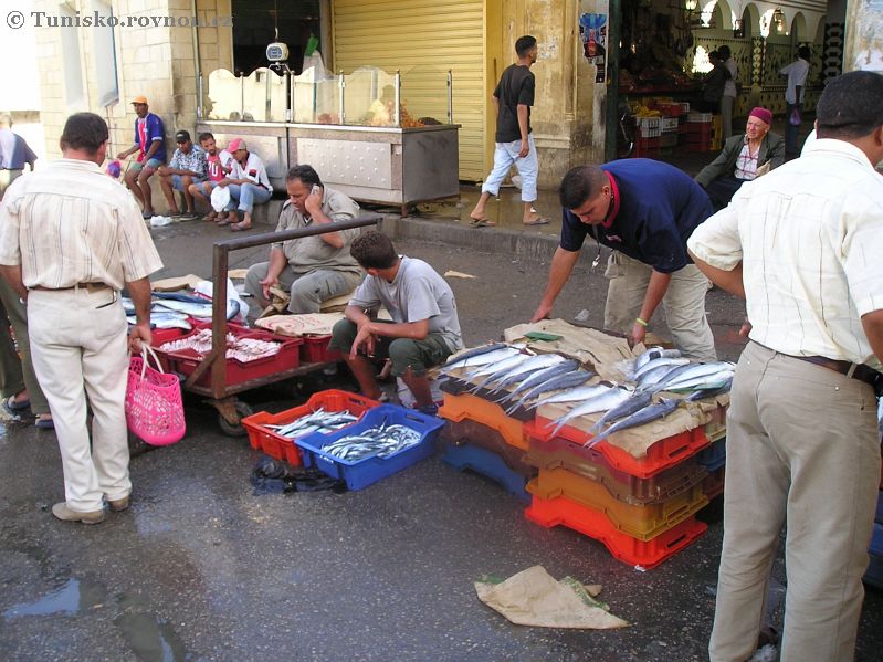 sousse ryby 17.jpg