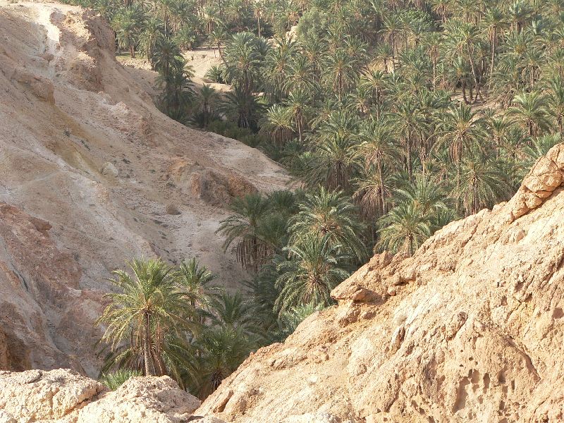 chebika 33.jpg