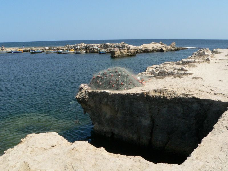 mahdia pristav.jpg