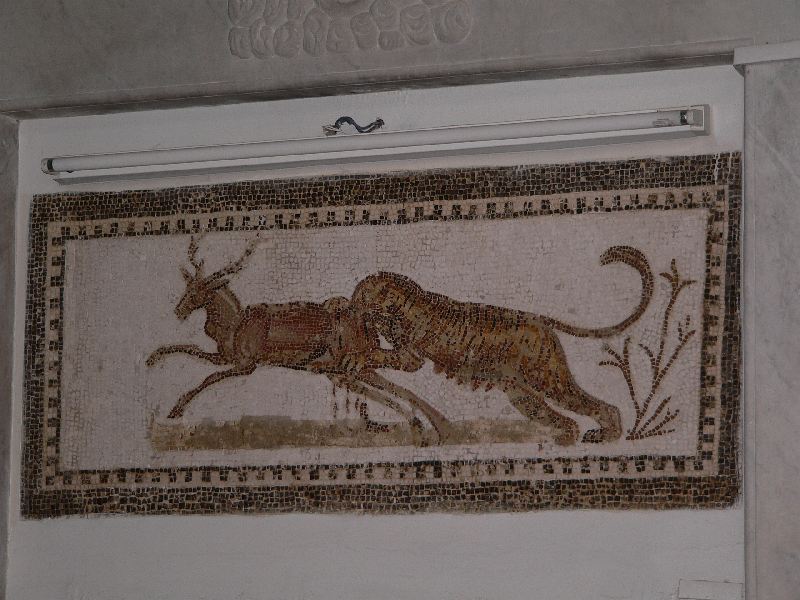 muzeum kartago mozaika kocicka lovi.jpg