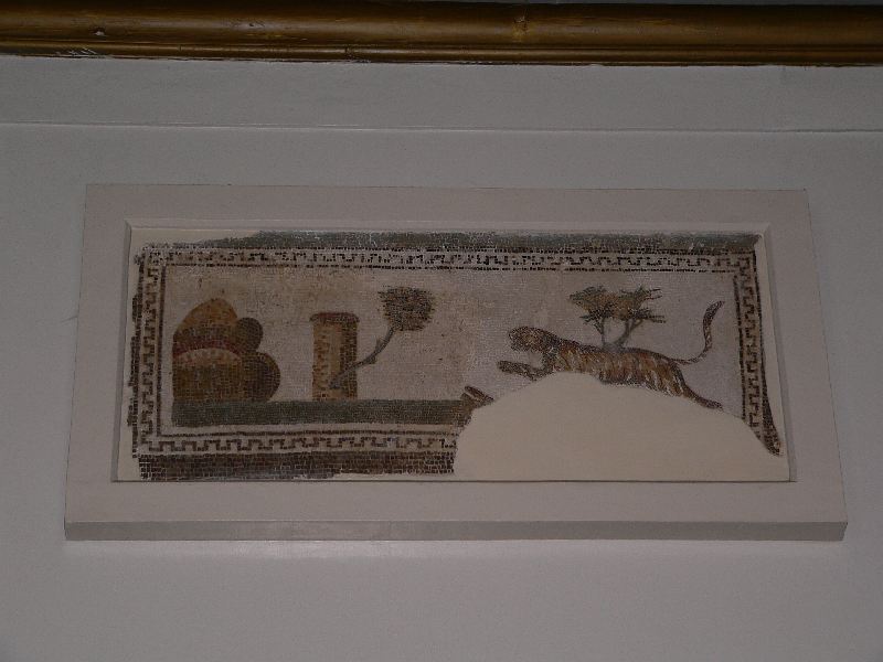 muzeum kartago mozaika kocicka.jpg