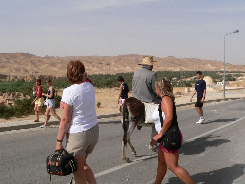 tamerza oslik turisti 7.jpg