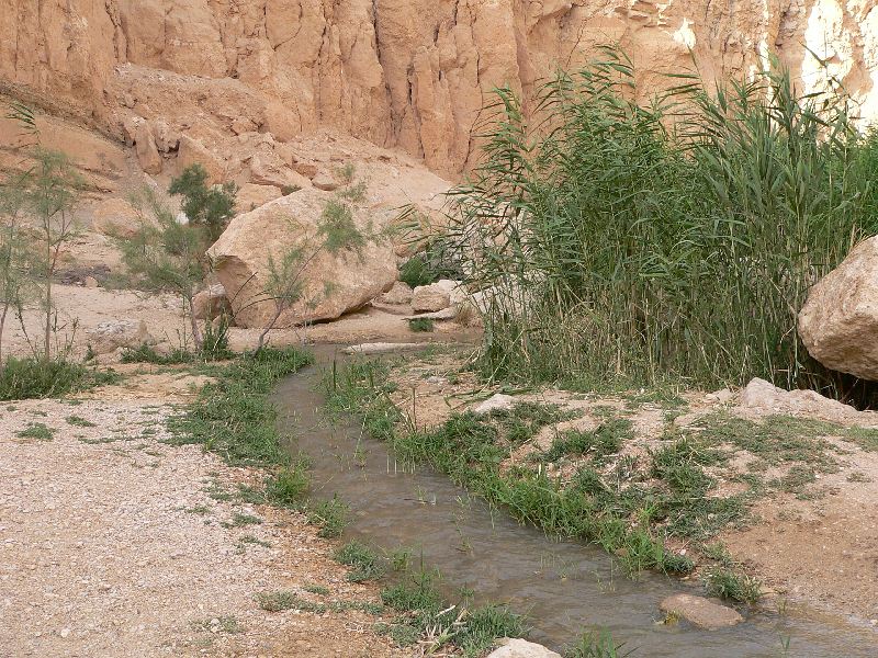 tamerza potok 13.jpg