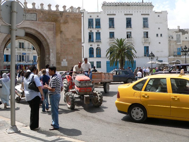 tunis kruhak 11.jpg
