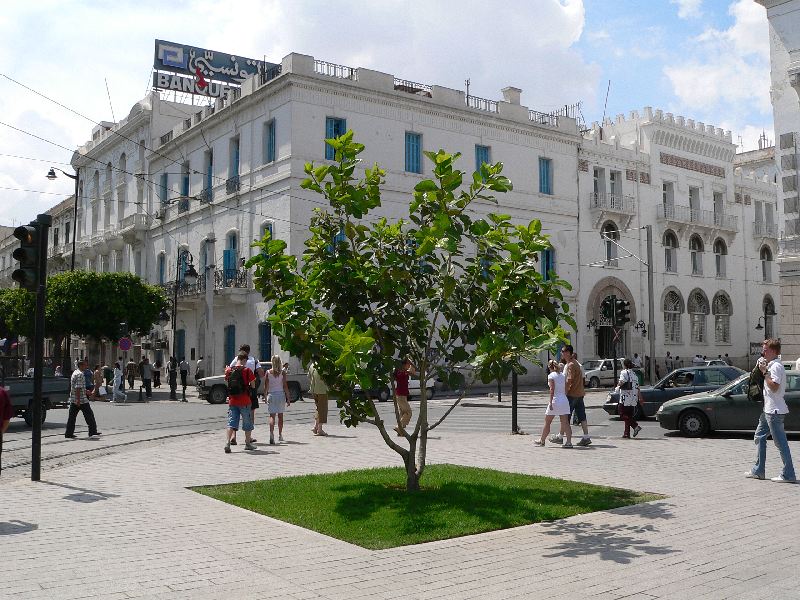 tunis ulice 5.jpg