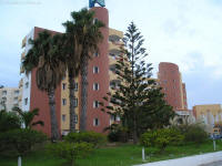 hotel palmy araukarie