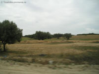 priroda krajina