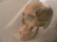 muzeum kartago lebka