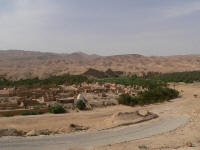 tamerza oaza