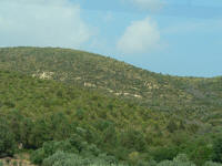 tunisko les